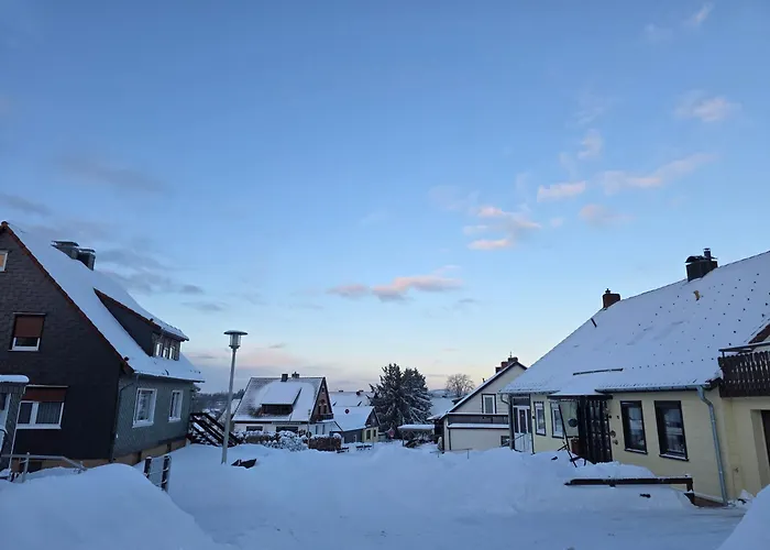 Maiferien Harz - Haus Goldstrahl * 克劳斯塔尔-采勒费尔德